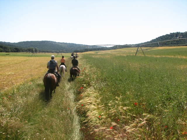 Excursiones por el campo